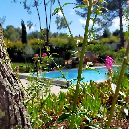 D'hotes Les Libellules 3* Castelnau-le-Lez