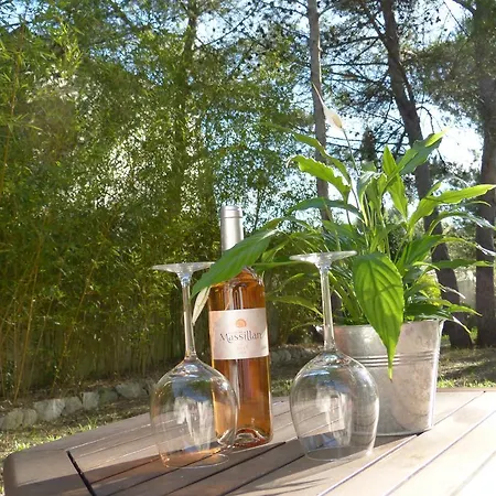 Bed & Breakfast D'hotes Les Libellules