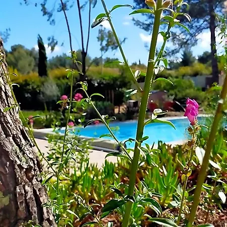 D'hotes Les Libellules Bed & Breakfast Castelnau-le-Lez