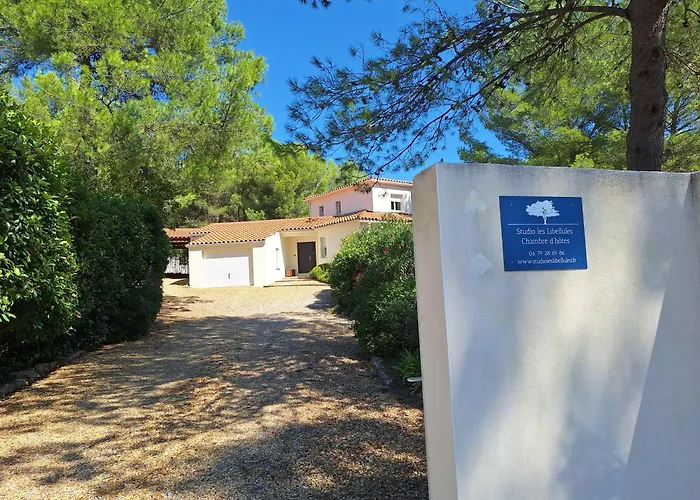 D'hotes Les Libellules Bed & Breakfast Castelnau-le-Lez